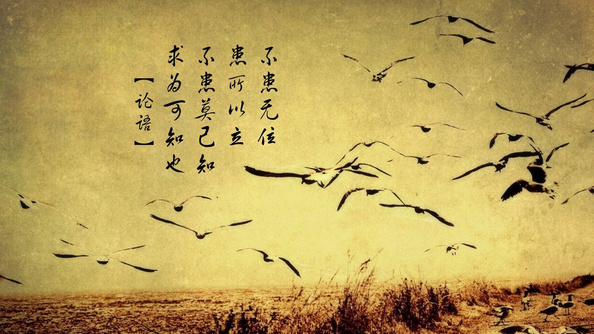 逆转与绽放，当德国战车轰鸣时，安赛龙的羽翼正划过夜空