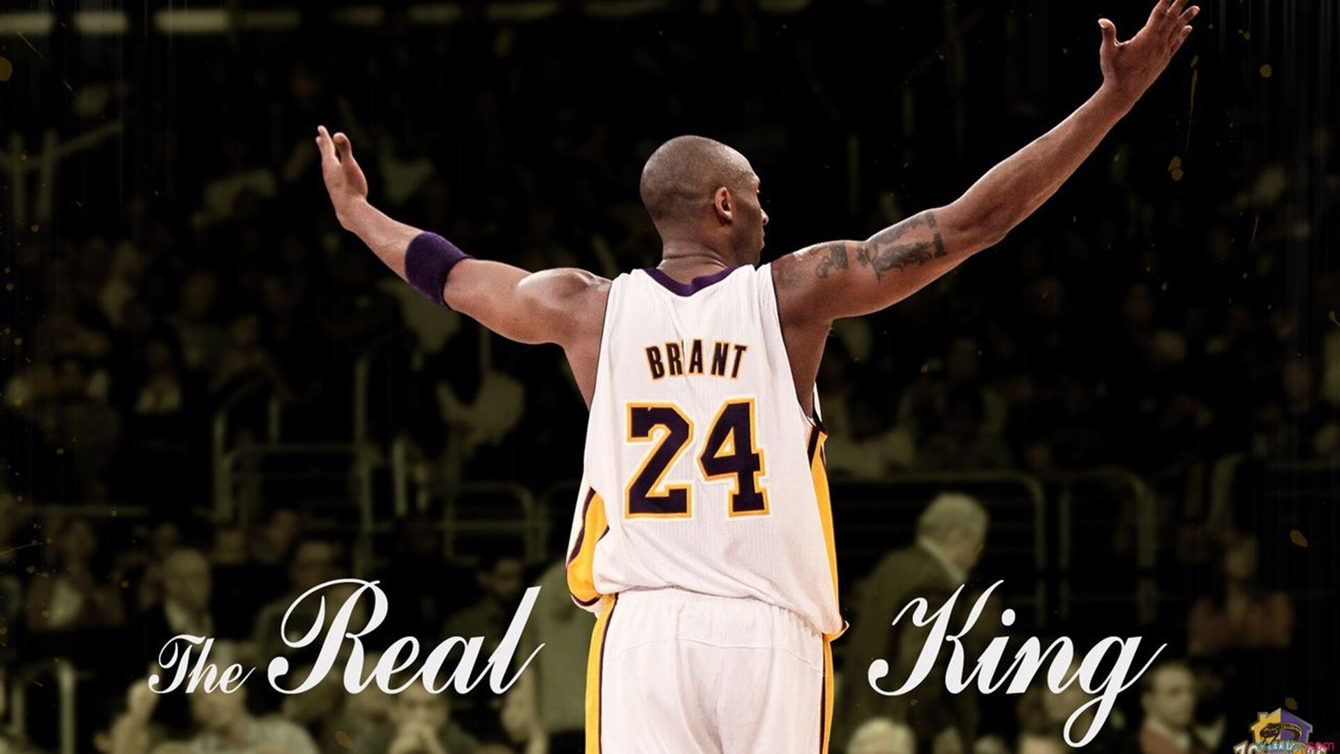 赛道变战场,雷诺何以轻取阿斯顿马丁?勒克莱尔带队的艺术