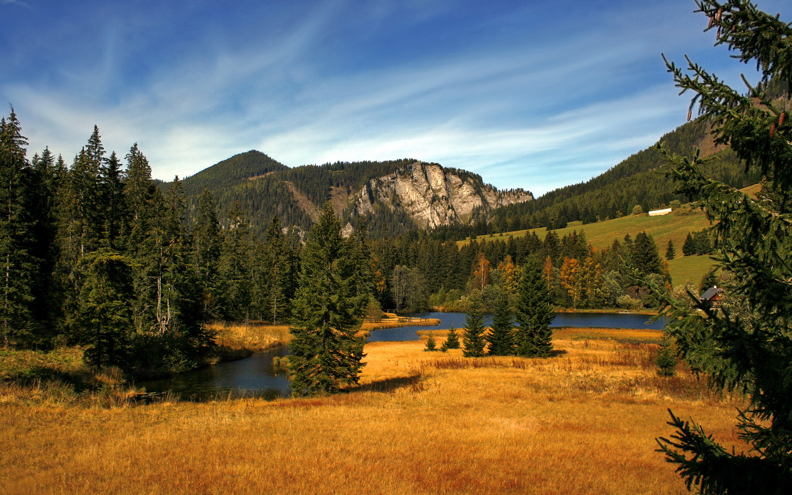 逆转基因，从坎尼战场到现代绿茵，为何罗马人与德布劳内共享同一种血液