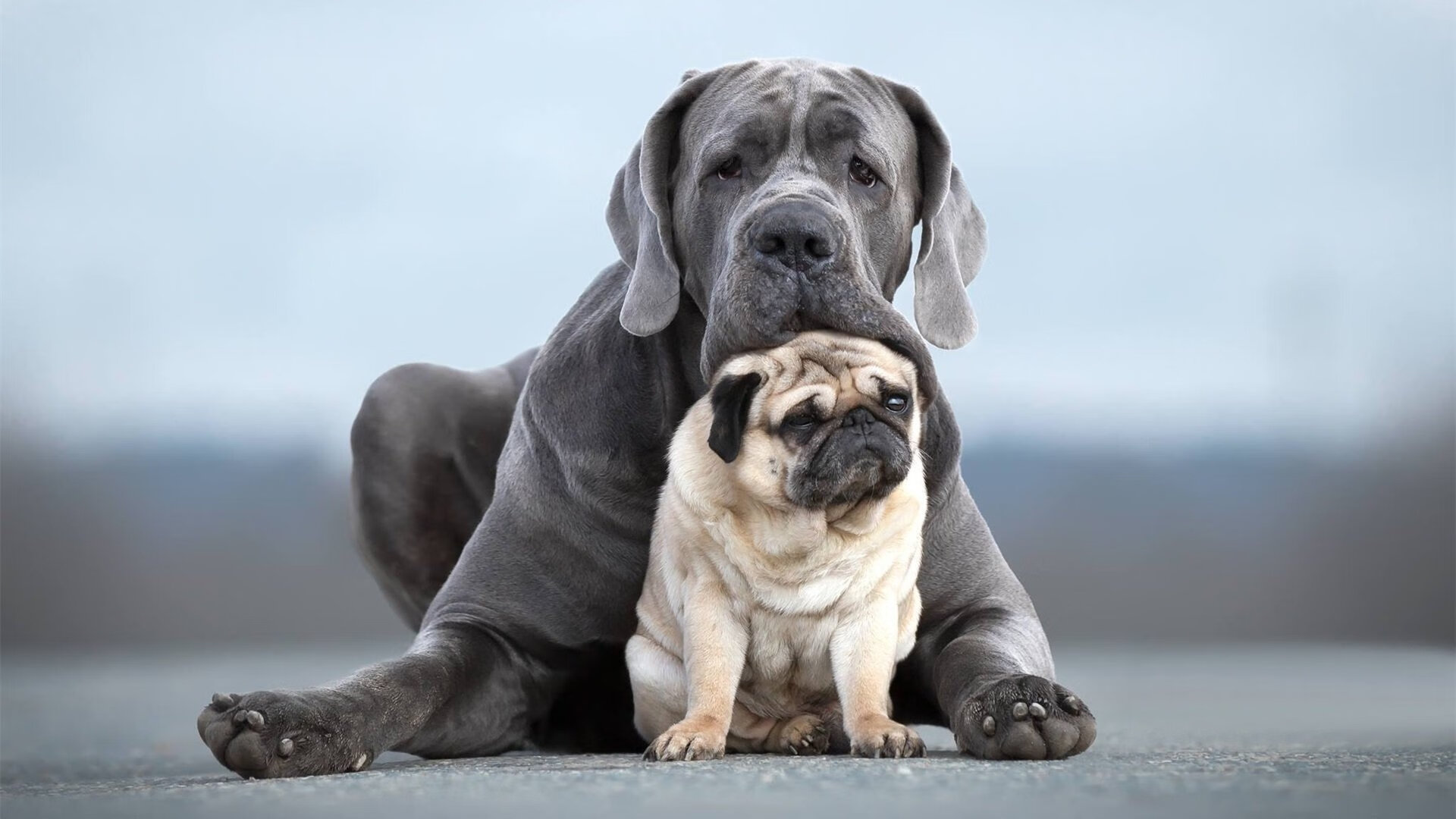 黑白棋盘上的黄金落子,周琦在密尔沃基鏖战中的东方解