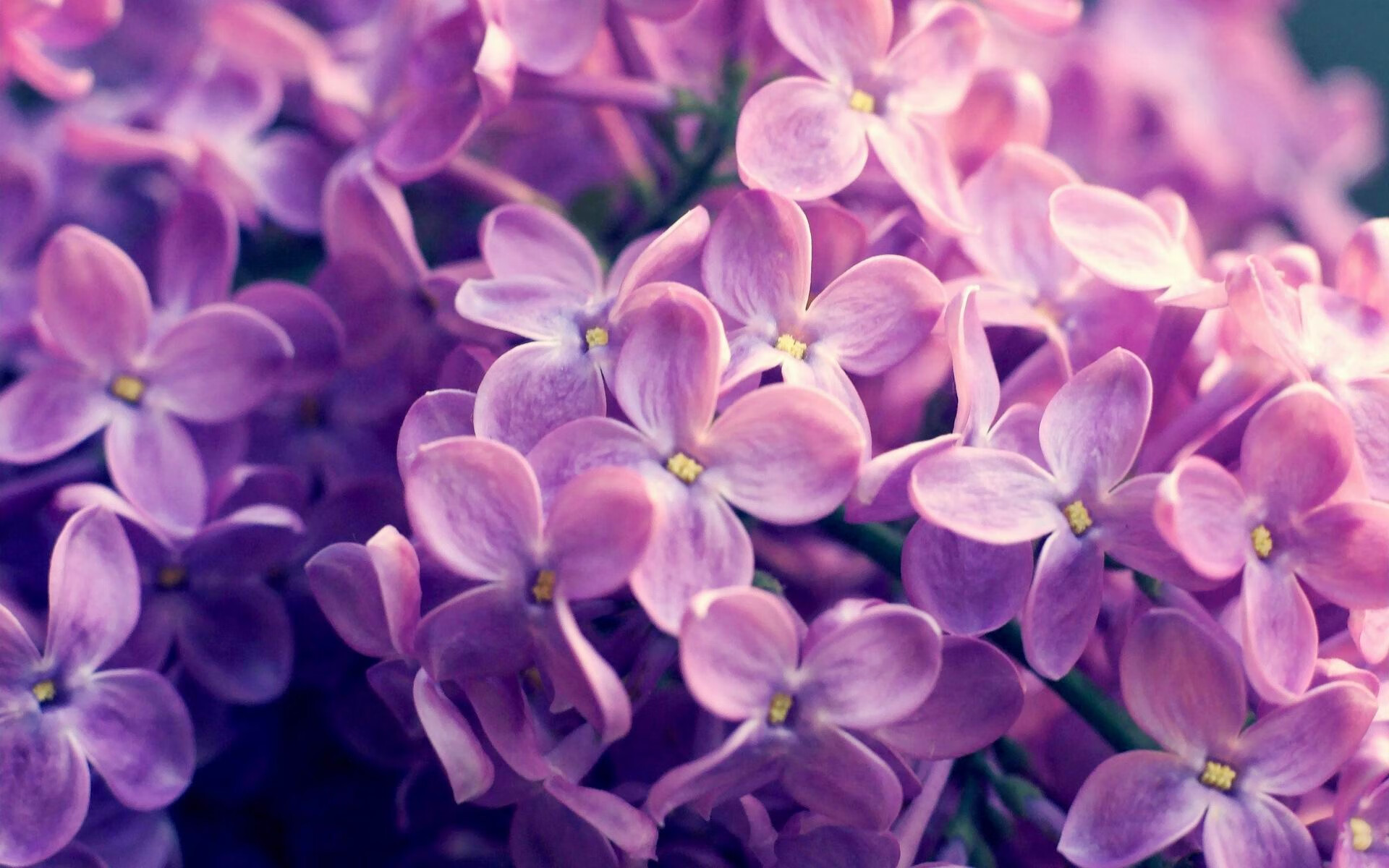 沙漠曙光，沙特终场绝境翻盘，队长赖斯灵魂一击定乾坤