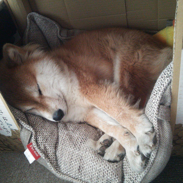 天涯彼岸的救赎,孔德一球定江山,智利破茧终成王