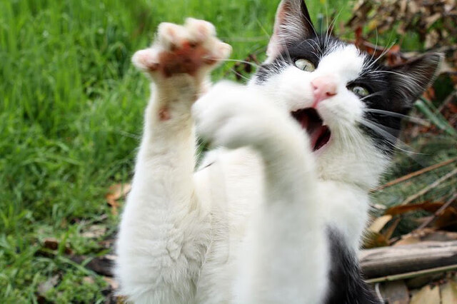 奥运周期生死战爆最大冷门，南美黑马横空出世，巴拉圭两球击碎中国足球梦