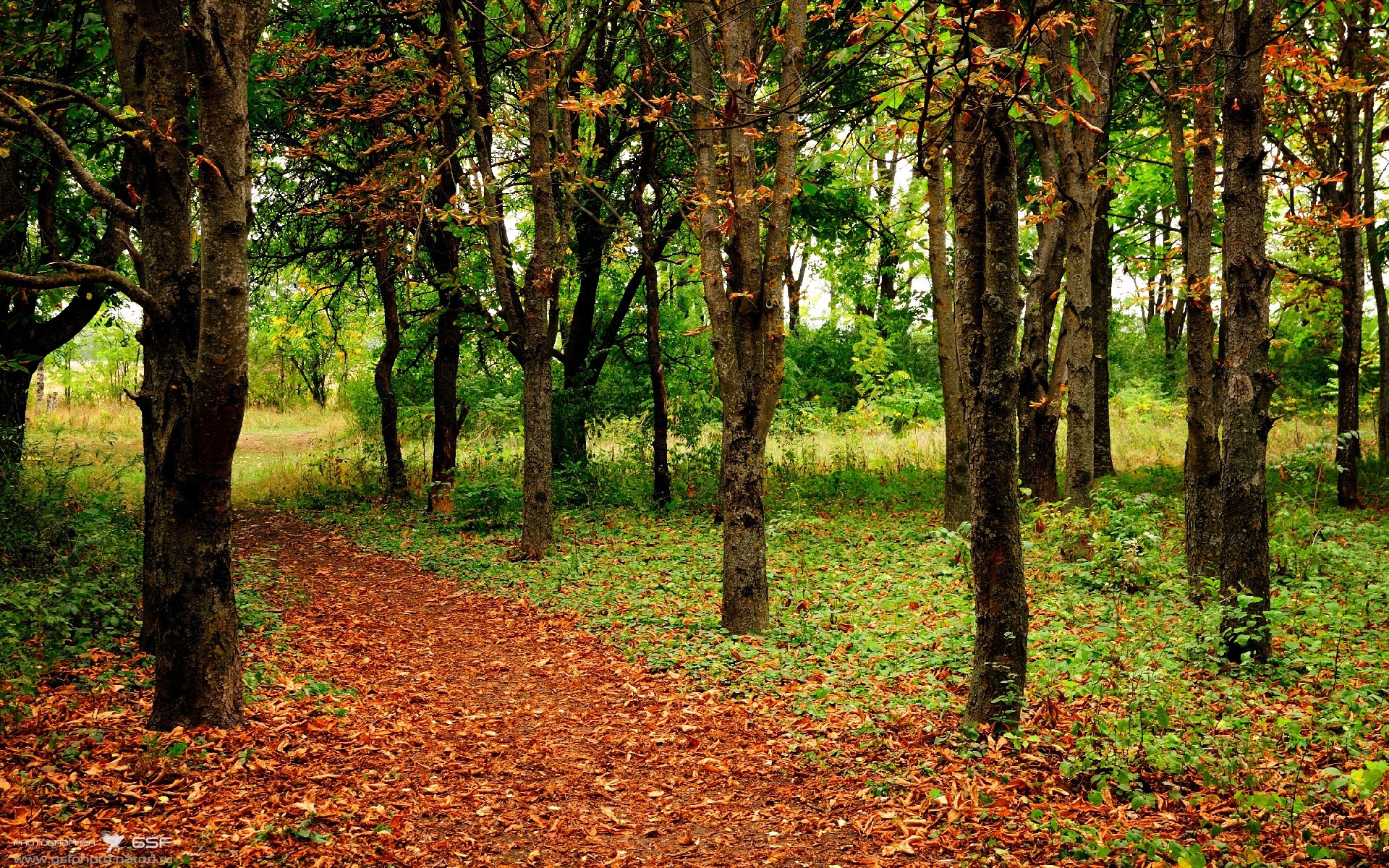 赛道上的橄榄球对决，当F1街道赛焦点战，变成澳大利亚拿下威尔士的博弈