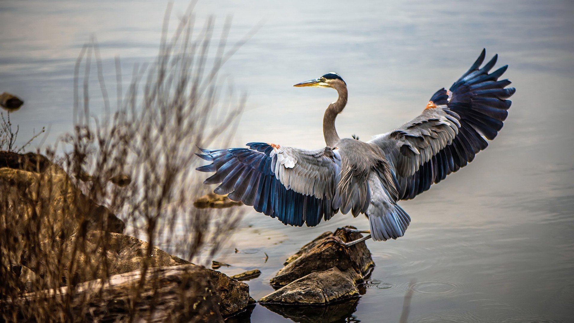 王权倾颓之夜，罗德里以足球的名义将加纳王冠击碎