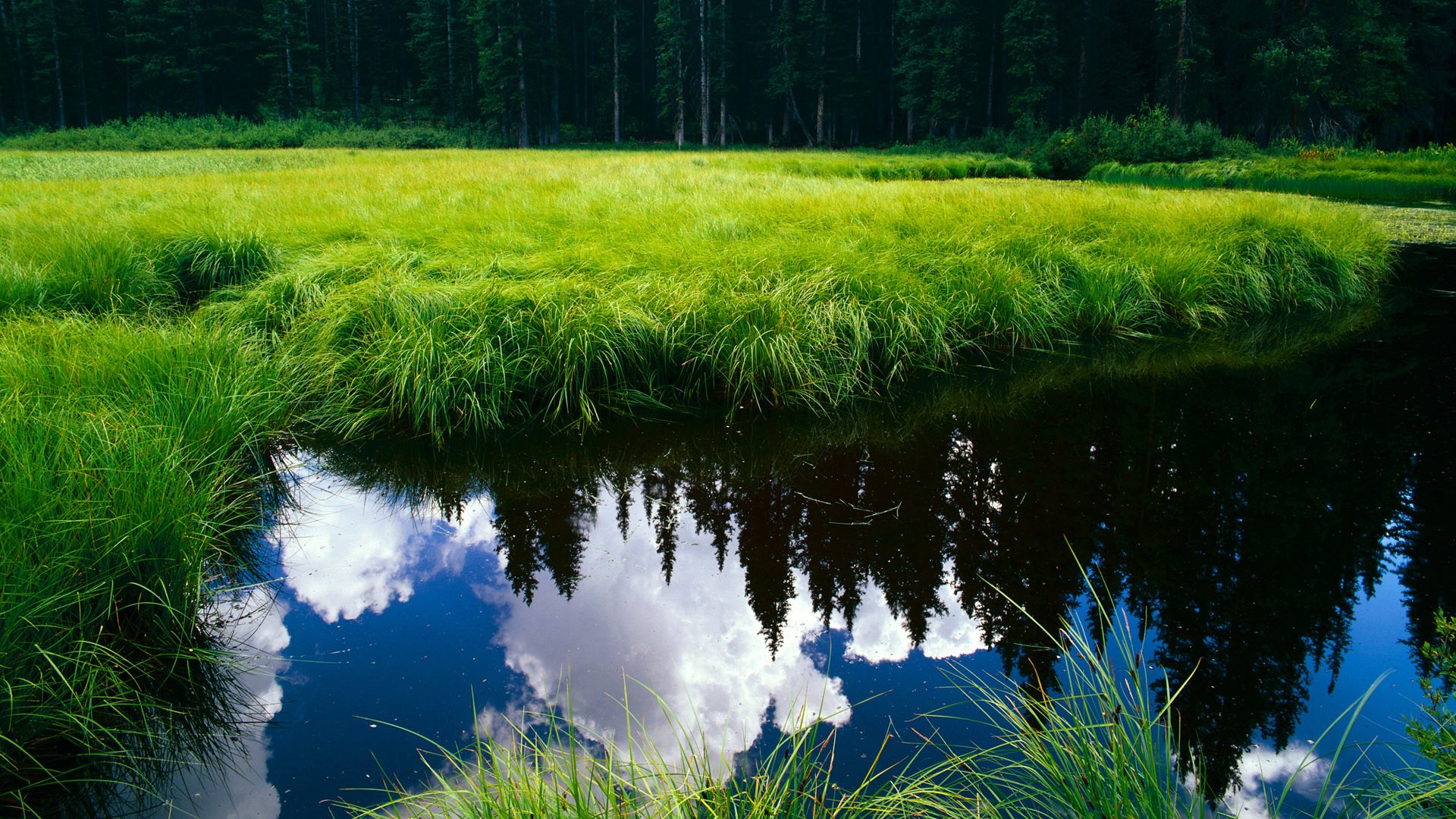 钢铁防线，孔德如何用一幅流血的名画封印了比利时的黄金时代