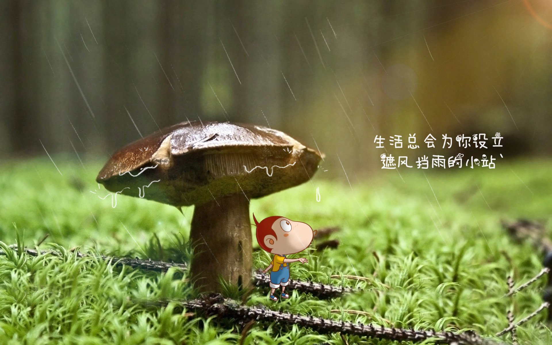 当大象踏碎日耳曼战车,一场由上帝视角主导的F组启示录