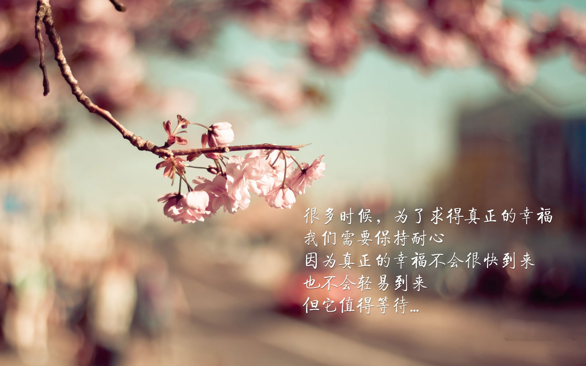 巅峰对决燃爆赛场，加拿大绝杀捷克，德布劳内闪耀全场，战术博弈成就头名之争唯一经典