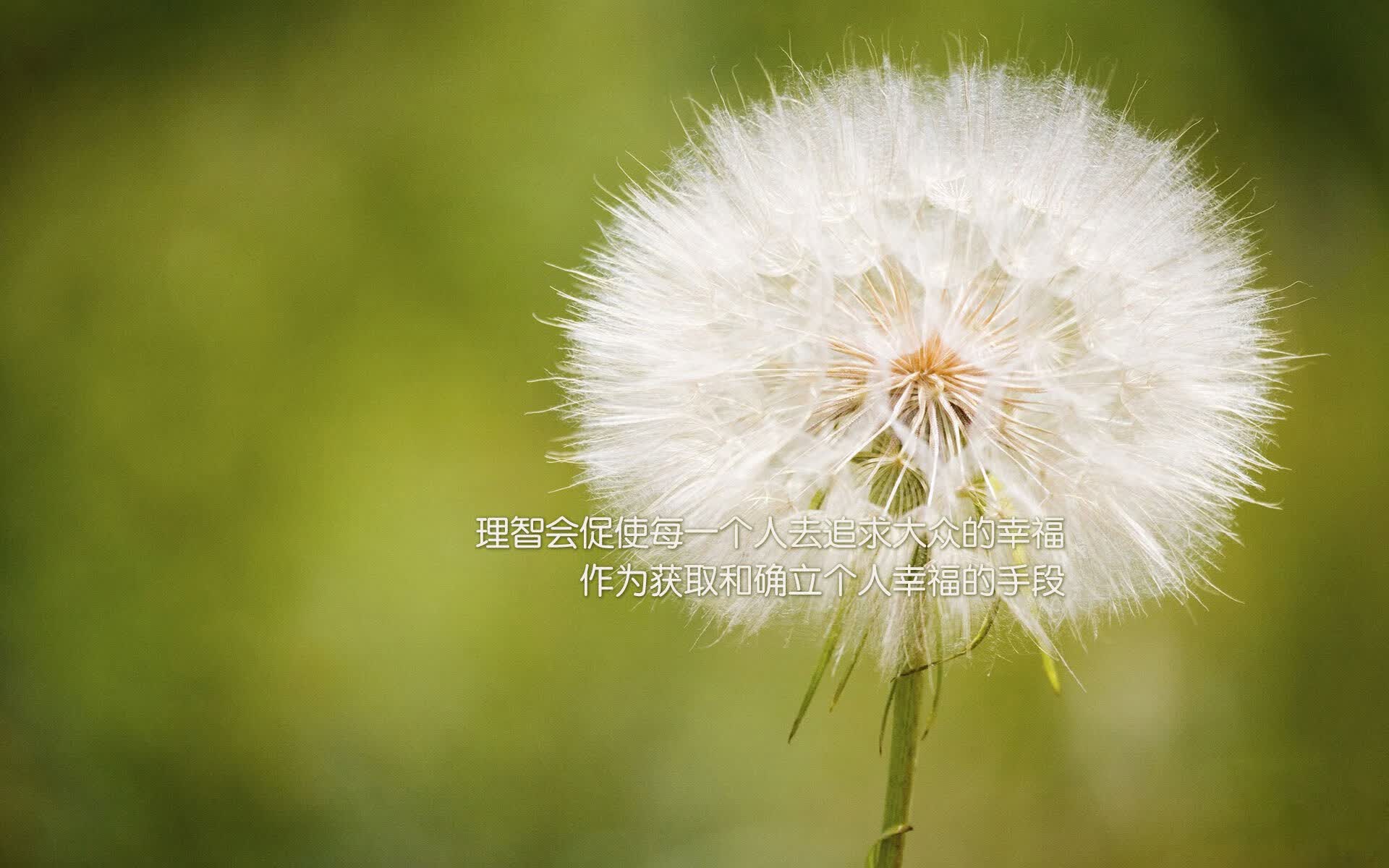 铁血之师震撼世界杯，摩洛哥完胜哥伦比亚，阿诺德用强硬对抗书写北非足球新传奇