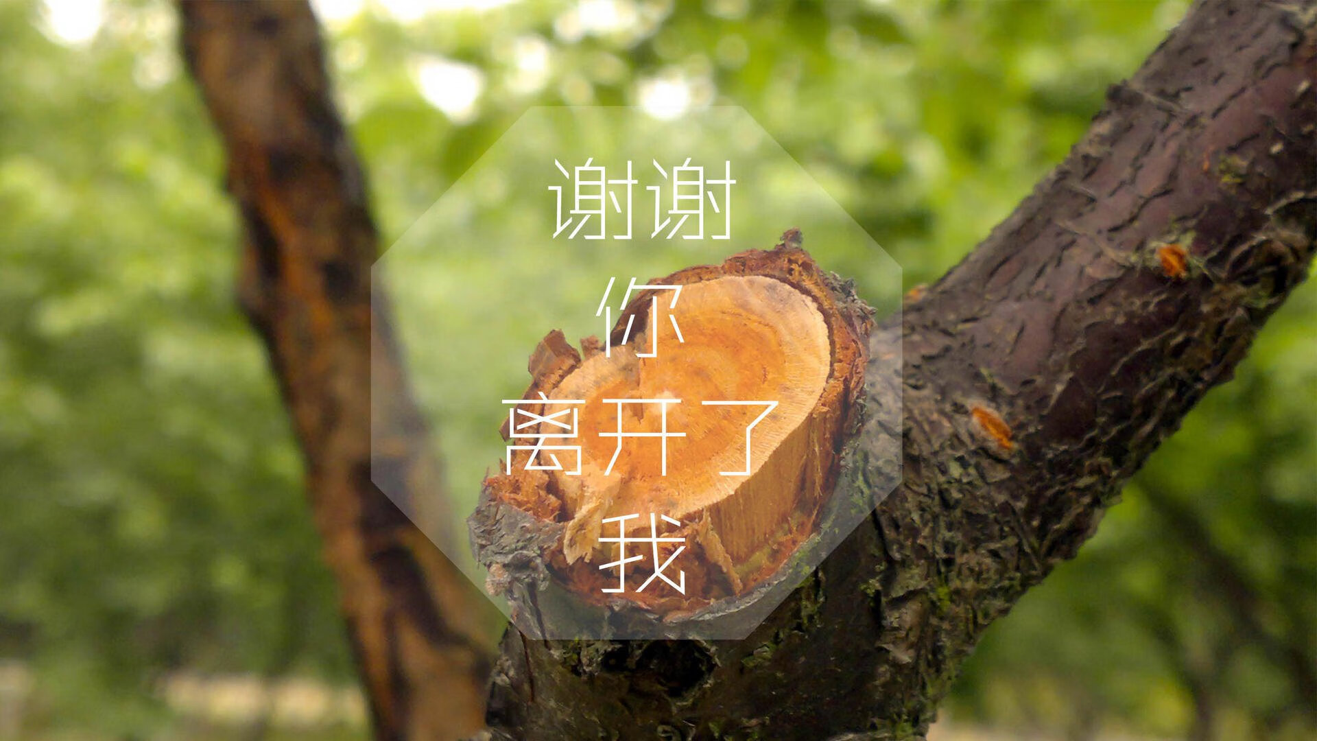 卡塔尔力压芬兰夺世界杯头名，C罗王者风范与替补奇兵的完美交响